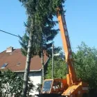 4 üzleti kép A MIHÓK-DARU ÉRDEN IS! Otthon és Építőipar ban/ben Érd PE