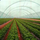 9 üzleti kép AGROFOL MAGYARORSZÁG KFT. Üzleti szolgáltatások ban/ben Szeged CS