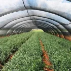 11 üzleti kép AGROFOL MAGYARORSZÁG KFT. Üzleti szolgáltatások ban/ben Szeged CS