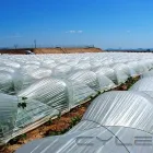 13 üzleti kép AGROFOL MAGYARORSZÁG KFT. Üzleti szolgáltatások ban/ben Szeged CS