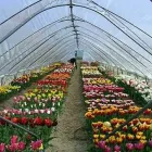 16 üzleti kép AGROFOL MAGYARORSZÁG KFT. Üzleti szolgáltatások ban/ben Szeged CS