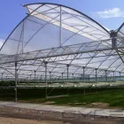 21 üzleti kép AGROFOL MAGYARORSZÁG KFT. Üzleti szolgáltatások ban/ben Szeged CS