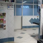 1 üzleti kép ÁLLATORVOSI RENDELŐINTÉZET Állategészségügyi szolgáltatások ban/ben Szeged CS