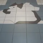 5 üzleti kép ÁLLATORVOSI RENDELŐINTÉZET Állategészségügyi szolgáltatások ban/ben Szeged CS