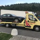 3 üzleti kép AUTÓSZÁLLÍTÁS BELFÖLDÖN ÉS KÜLFÖLDRŐL ban/ben Budapest PE