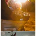 2 üzleti kép BAKONYSTÚDIÓ ESKÜVŐI FOTÓ ÉS VIDEÓ Számítástechnika & Elektronika ban/ben Pápa VE