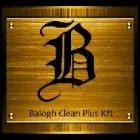 1 üzleti kép BALOGH CLEAN PLUS KFT Üzleti szolgáltatások ban/ben Dunaújváros FE