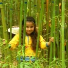 1 üzleti kép BAMBOO-BAMBUSZ FAISKOLA Üzletek ban/ben Kalocsa BK
