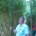 3 üzleti kép BAMBOO-BAMBUSZ FAISKOLA Üzletek ban/ben Kalocsa BK