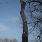 1 üzleti kép BARATI RICHÁRD EV Otthon és Építőipar ban/ben Szolnok JN