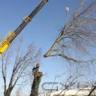6 üzleti kép BARATI RICHÁRD EV Otthon és Építőipar ban/ben Szolnok JN