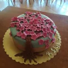 7 üzleti kép BAYER CUKRÁSZDA - SWEET-ICE BT. Cukrászdák ban/ben Salgótarján NO