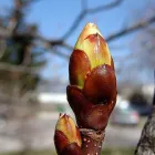 1 üzleti kép BEDROS ÉPÍTÉSZ STÚDIÓ Otthon és Építőipar ban/ben Budapest