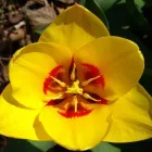 4 üzleti kép BEDROS ÉPÍTÉSZ STÚDIÓ Otthon és Építőipar ban/ben Budapest