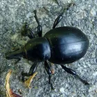 6 üzleti kép BEDROS ÉPÍTÉSZ STÚDIÓ Otthon és Építőipar ban/ben Budapest