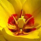 7 üzleti kép BEDROS ÉPÍTÉSZ STÚDIÓ Otthon és Építőipar ban/ben Budapest