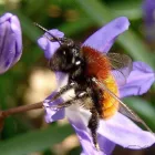 8 üzleti kép BEDROS ÉPÍTÉSZ STÚDIÓ Otthon és Építőipar ban/ben Budapest