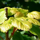 10 üzleti kép BEDROS ÉPÍTÉSZ STÚDIÓ Otthon és Építőipar ban/ben Budapest