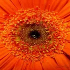 11 üzleti kép BEDROS ÉPÍTÉSZ STÚDIÓ Otthon és Építőipar ban/ben Budapest