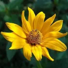 12 üzleti kép BEDROS ÉPÍTÉSZ STÚDIÓ Otthon és Építőipar ban/ben Budapest