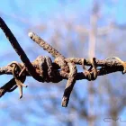 14 üzleti kép BEDROS ÉPÍTÉSZ STÚDIÓ Otthon és Építőipar ban/ben Budapest