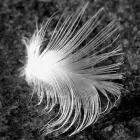 16 üzleti kép BEDROS ÉPÍTÉSZ STÚDIÓ Otthon és Építőipar ban/ben Budapest