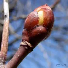 18 üzleti kép BEDROS ÉPÍTÉSZ STÚDIÓ Otthon és Építőipar ban/ben Budapest