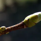 20 üzleti kép BEDROS ÉPÍTÉSZ STÚDIÓ Otthon és Építőipar ban/ben Budapest