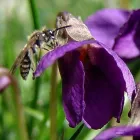 21 üzleti kép BEDROS ÉPÍTÉSZ STÚDIÓ Otthon és Építőipar ban/ben Budapest