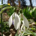 22 üzleti kép BEDROS ÉPÍTÉSZ STÚDIÓ Otthon és Építőipar ban/ben Budapest