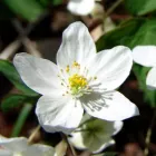 23 üzleti kép BEDROS ÉPÍTÉSZ STÚDIÓ Otthon és Építőipar ban/ben Budapest