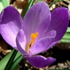 24 üzleti kép BEDROS ÉPÍTÉSZ STÚDIÓ Otthon és Építőipar ban/ben Budapest