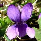 26 üzleti kép BEDROS ÉPÍTÉSZ STÚDIÓ Otthon és Építőipar ban/ben Budapest