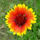 28 üzleti kép BEDROS ÉPÍTÉSZ STÚDIÓ Otthon és Építőipar ban/ben Budapest