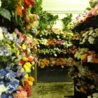 1 üzleti kép BELLA FIORI KFT. Virágüzlet, virágkötészet ban/ben Budapest PE