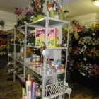 3 üzleti kép BELLA FIORI KFT. Virágüzlet, virágkötészet ban/ben Budapest PE