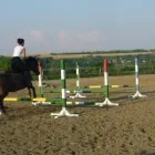 2 üzleti kép BIOFARM LOVARDA Üzleti szolgáltatások ban/ben Kajászó FE