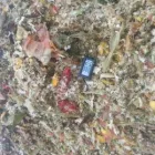 1 üzleti kép BIOFERET - ZÖLDHULLADÉK SZÁLLÍTÁS, ÚJRAHASZNOSÍTÁS Üzleti szolgáltatások ban/ben Martonvásár FE