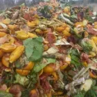 2 üzleti kép BIOFERET - ZÖLDHULLADÉK SZÁLLÍTÁS, ÚJRAHASZNOSÍTÁS Üzleti szolgáltatások ban/ben Martonvásár FE