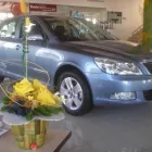 1 üzleti kép BRILL KFT, ŠKODA TELEPHELY Autóbérlés ban/ben Kecskemét BK