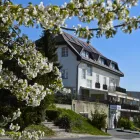 14 üzleti kép BUDAI HOTEL Idegenforgalom & Utazás ban/ben Budapest PE