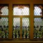 5 üzleti kép COLORGLAS BT. Üzleti szolgáltatások ban/ben Kecskemét BK
