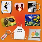 9 üzleti kép COPYBOX MÁSOLÓGÉP BÉRBEADÁS Irodatechnika ban/ben Győr GS