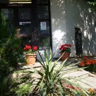 9 üzleti kép CSATÁRKA PATIKA Gyógyszertárak ban/ben Budapest PE