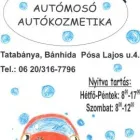 3 üzleti kép CSILLI-VILLI AUTÓMOSÓ-AUTÓKOZMETIKA Szőnyegtisztítás ban/ben Tatabánya KE