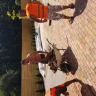 5 üzleti kép DARK BOYS KFT Útépítés, közműépítés ban/ben Budapest