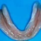 6 üzleti kép DENFO FOGSORCENTRUM Közigazgatás & Szervezetek ban/ben Nyíregyháza SZ