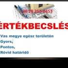 1 üzleti kép DIOPTRA 2007. INGATLANKÖZVETÍTŐ ÉS TÁRSASHÁZKEZELŐ IRODA Üzleti szolgáltatások ban/ben Szombathely VA