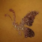 5 üzleti kép DRAVECZKI EDINA MŰKÖRMÖS ÉRD Körömszalon ban/ben Érd PE