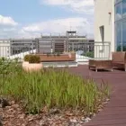 2 üzleti kép DREAM GARDEN ban/ben Kaposvár SO
